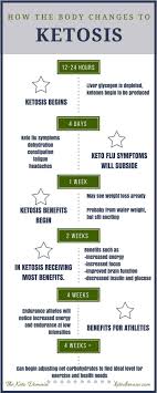 Complete Beginner S Guide To Ketogenic Diet Keto Domain Keto Diet Meal Plan Keto Diet Plan Ketogenic Diet For Beginners