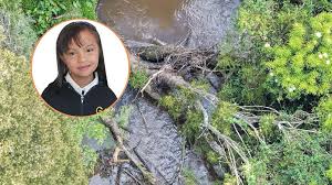 Libertas - Colombia 🕊️ Justice for Valeria Afanador 🕊️ Ten-year-old Valeria  Afanador, who went missing on August 12 in Cajicá, Colombia, was tragically  found 18 days later in the Frío River, near