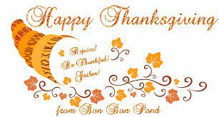 Best Thanksgiving Animated Gif Thanksgiving Images Thanksgiving Turkey Images Gif Funny Images