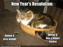 Funny Cats Animal Humor Photo Cat Jokes Happy New Year Funny Funny Cats