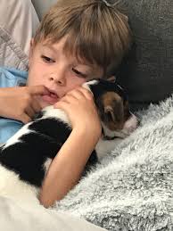 Karina Burrows (@BurrowsKarina)