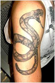 100 Amazing Snake Tattoo Designs And Meanings Cool Snake Tattoo Design Snake Tattoo Designs Snake Tattoo