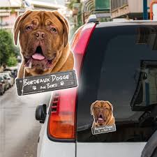 Der hund ist mir im sturme treu, der mensch nicht mal im winde! Hundeaufkleber Shop Bordeaux Dogge An Bord Autoaufkleber