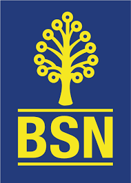 Perbedaan pinjaman pribadi perorangan dan jenis pinjaman atau kredit lain. Bank Simpanan Nasional Bsn Personal Loan Financing Pinjaman Peribadi