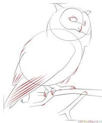 How To Draw A Realistic Owl Step By Step Drawing Tutorials Owls Drawing Realistic Drawings Animal Drawings