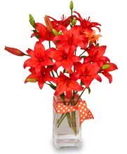 This group is for anyone in franklin who wants to know more about what grows here or who is an old. Franklin Florist Franklin Tennessee Flower Shop Rebecca S Floral Boutique