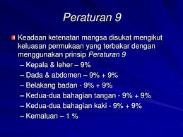 Semasa memasak hendaklah memberi tumpuan sepenuhnya. Bab 10 Terbakar Dan Melecur Ppt Download