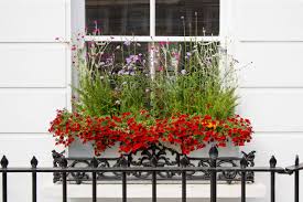 Sun loving flowers for window boxes. Bring Back The Window Box Flowers And Edibles For Every Season Houzz Au