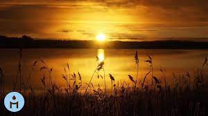 8 Hours Calming Music For Highly Sensitive People For Tensions Panic Attack Anxiety 807 Youtube