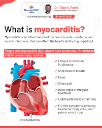 Image result for Myocarditis