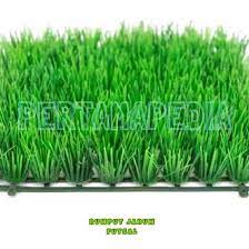 Check spelling or type a new query. Jual Produk Rumput Aquarium Termurah Dan Terlengkap Agustus 2021 Bukalapak