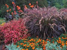 Pin By Doug Harrington On Gardening Ideas Tips Garden Renovation Ideas Garden Inspiration Outdoor Gardens
