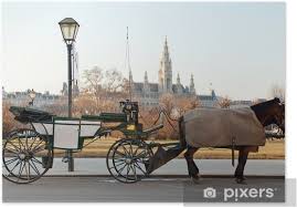 Maybe you would like to learn more about one of these? Fiaker In Wien Poster Pixers We Live To Change