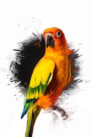 Maverick by logan paul 3d logo. 31 Paul S Logan Hd Bird Wallpaper On Wallpapersafari