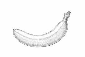 We did not find results for: Cara Menggambar Tahap Pisang Untuk Gambar Pisang Bertahap Anak Pelajaran Menggambar Langkah Demi Langkah