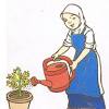 Check 'pokok' translations into english. 1
