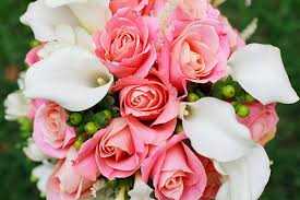 What happens when you buy a tax lien? San Antonio Florist Flower Delivery By The Tuscan Rose Florist