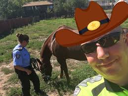 Yesterday, dispatch received a call regarding a horse