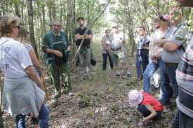We did not find results for: Yvelines La Foret De Rambouillet C Est Aussi Le Patrimoine Naturel Des Habitants 78actu