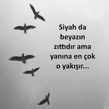 Aşk ya siyahtır, ya da beyaz. Siyah Da Beyazin Zittidir Ama Yanina En Cok O Yakisir Sozler Anlamlisozler Guzelsozler Manalisozler Ozlusozl Ilham Verici Sozler Guzel Soz Bff Sozleri