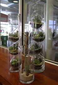 Http Lilabdesign Com Wp Content Uploads 2012 10 Image 7 Jpg Succulent Terrarium Interior Design Plants Tall Glass Vases