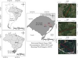 Enterococcus is a large genus of lactic acid bacteria of the phylum firmicutes. Frontiers Antimicrobial Resistance Profiles In Enterococcus Spp Isolates From Fecal Samples Of Wild And Captive Black Capuchin Monkeys Sapajus Nigritus In South Brazil Microbiology