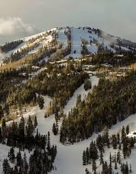 Marcella Membership Guide 2025 by Summit Sotheby's International Realty