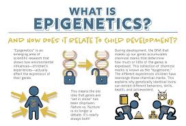 Beyond Nature Or Nurture With Epigenetics Epigenetics Nature Vs Nurture Neuroscience