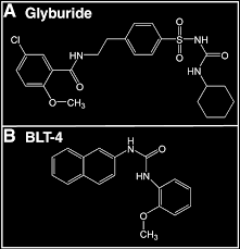Image result for Glyburide