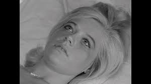 The Films of David F. Friedman