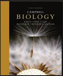 Alberts Molecular Biology Of The Cell 6th Edition Pdf Campbell Biology 10th Edition Pdf Campbell Biology Biology Textbook Biology
