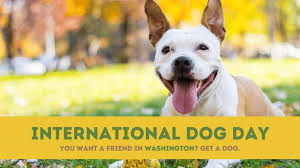 As an all day event, you can celebrate with your furry best friend for as long as you want. National Dog Day 2021 When Is The Uk S Celebration Of Dogs And Best Dog Quotes To Honor Your Pet