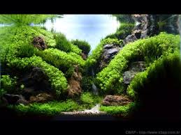 Great Mountain Valley Type Aquascape Ide