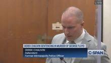Kellie chauvin divorced derek chauvin shortly after george floyd's death. Zqr4bosx7ucynm