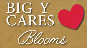 Collection by greenfield flower shop. Big Y Floral Department Florist Flowers Balloons Big Y