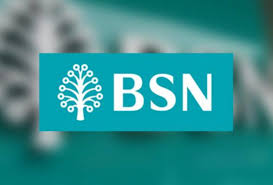 Antara senarai majikan yang layak memohon pinjaman bank rakyat. Semak Status Kelayakan Pinjaman Peribadi Bsn Online 2020