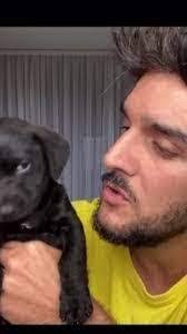 Brandon Pinkham's Instagram, Twitter & Facebook