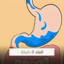 اعرف اكتر مدة بقاء الطعام في المعدة Facebook