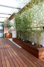 Sichtschutz Pflanzkubel Sichtschutze Konnen Auch Dekorativ Sein Sichtschutz Pflanzen Balkon Gartengestaltung Hintergarten