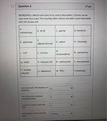 Serotonin impacts our mood, but mood also affects serotonin production. Solved Question 6 17 Pts Wordspell Match Each Term To It Chegg Com