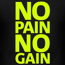 Hal ini menjadikan ungkapan ini pepatah yang cocok. Quotes About No Pain No Gain 35 Quotes