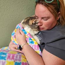 What is the best place to stay with free cruise parking in Galveston?