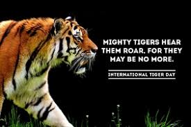 Year 9 are preparing for their igcse cou. 5 180 International Tiger Day 2020 Customizable Design Templates Postermywall