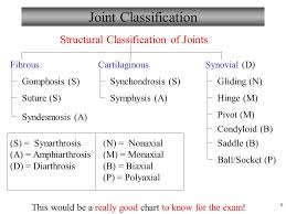 anatomy and physiology ppt video online download