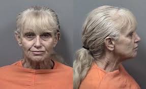 Citrus County Mugshots Feb. 15, 2019