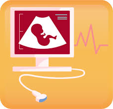 Image result for Biophysical Profile