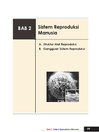 Check spelling or type a new query. Ipa Kls 9 Bab 2 Sistem Reproduksi Manusia
