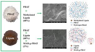 Please disable webpage caching (follow link for guide) and update to latest internet explorer version 11 or use google chrome click here for guide Economically Competitive Biodegradable Pbat Lignin Composites Effect Of Lignin Methylation And Compatibilizer Acs Sustainable Chemistry Engineering X Mol