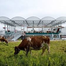 Enjoy a blended view with the 'browse all inventory' link. Floating Farm In Rotterdam Is Now Home To 32 Cows
