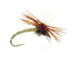 Legendary expert in dry fly fishing for trout (twitter: Dry Flies For River Fly Fishing